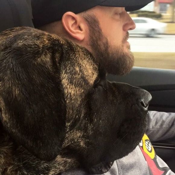 Meet your Posher, John - Picture 1 of 1